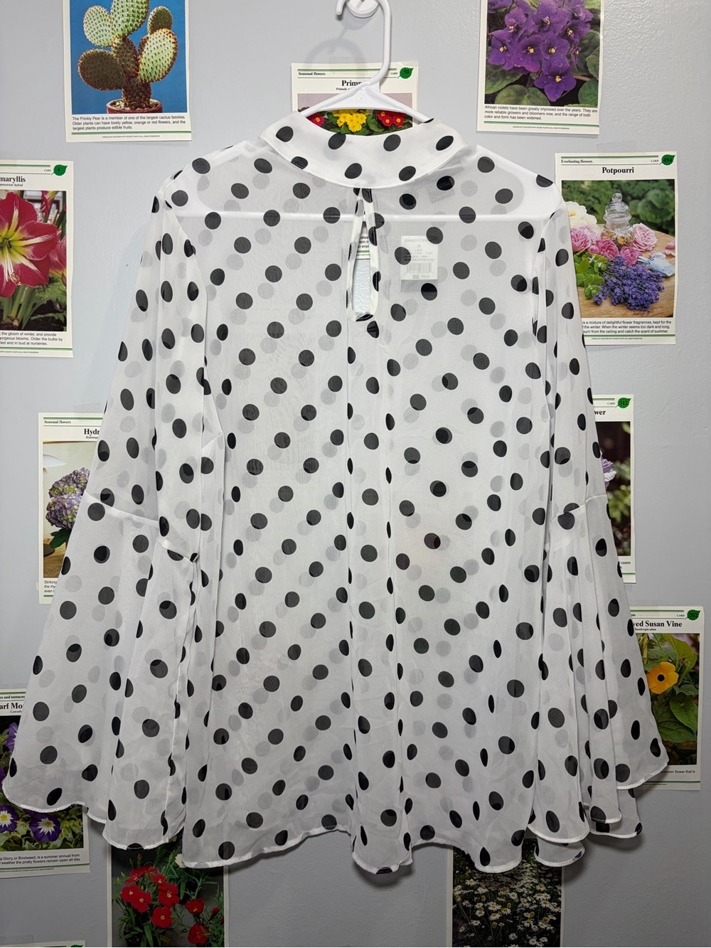 Ashley Stewart White Chiffon Blouse with Black Polka Dots